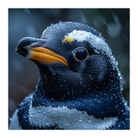 Macro view of a Penguin with Water Droplets (Print Only)