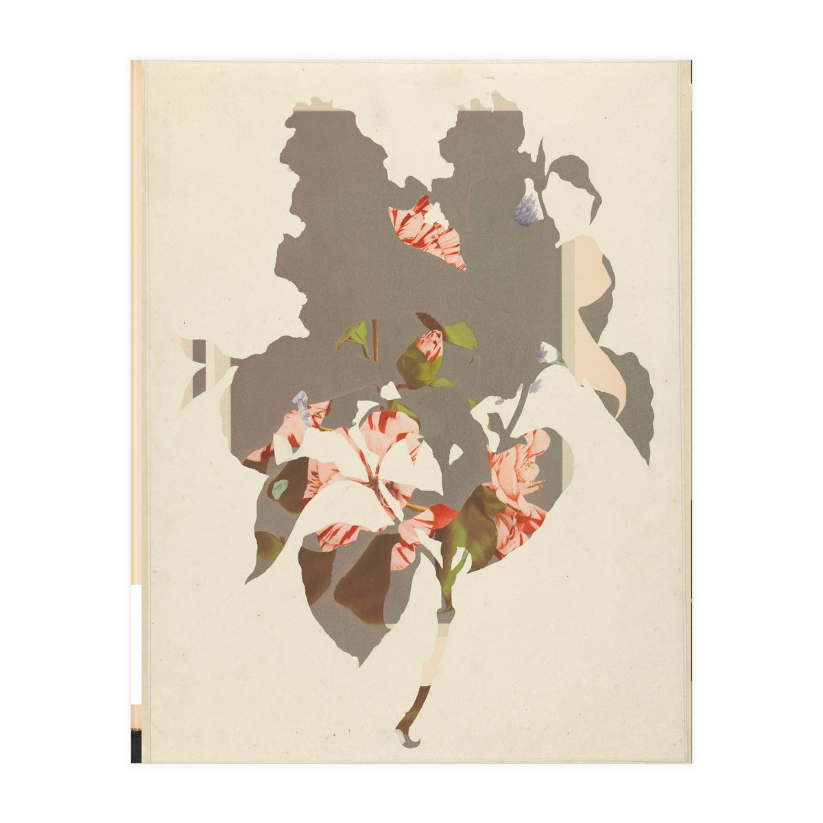 The First Plant · M2 (Print Only)