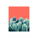 Cactus On Coral (Print Only) thumbnail