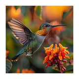 Hummingbird Hovering Near Orange Flowers (Print Only) thumbnail
