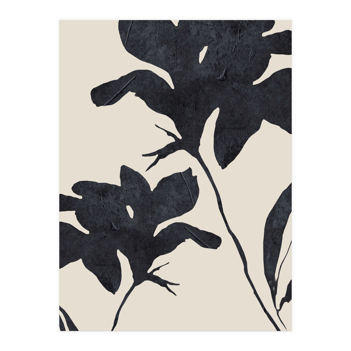 Shadowed Blooms (Print Only)