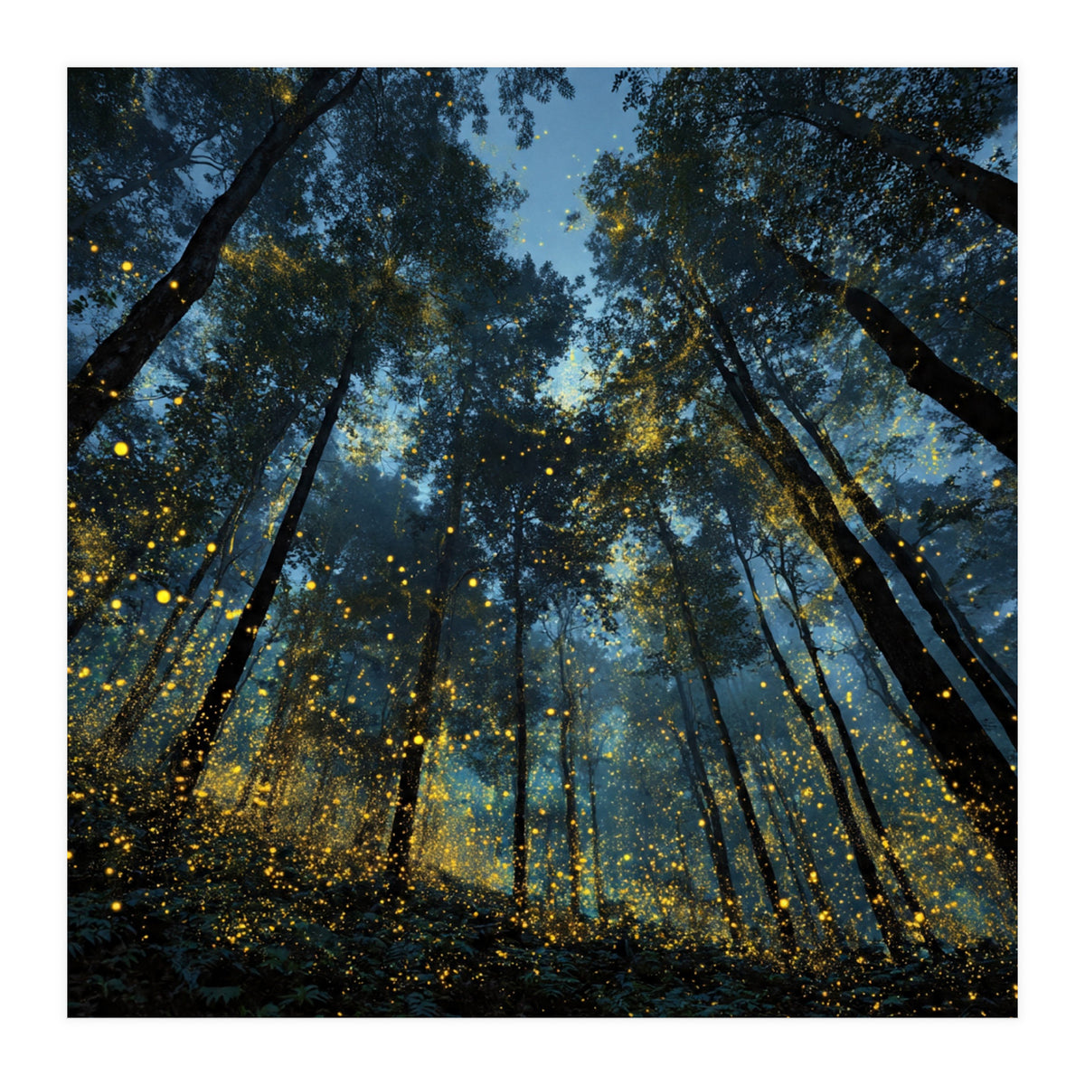Celestial Forest Canopy with Swirling Golden Fireflies and Deep Twilight Blue Sky Digital Art (Print Only)