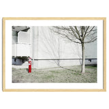 Red light pole and Tree shadow on the wall thumbnail
