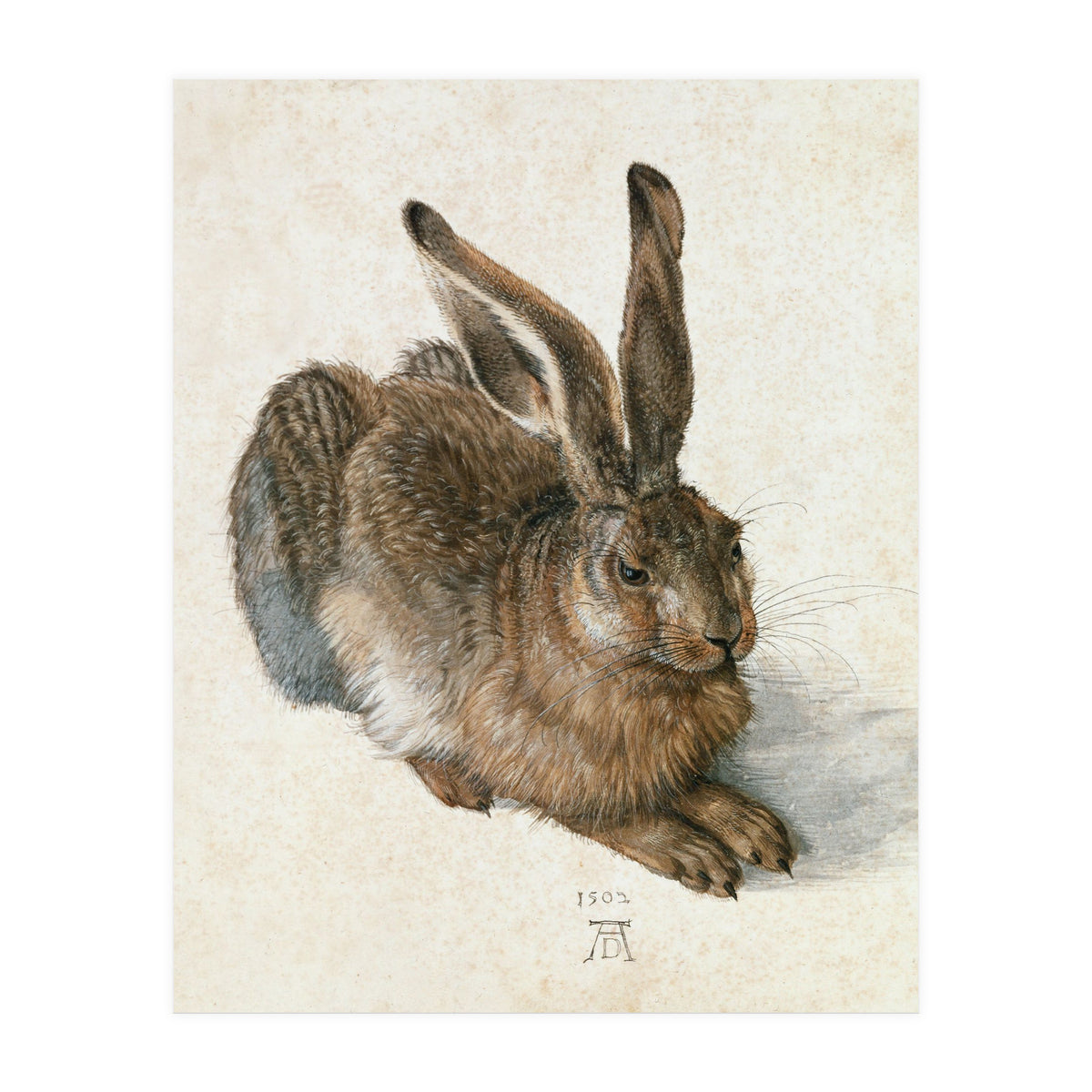 Hare-Hase. Watercolour. (Print Only)