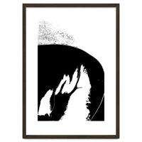 Black & White Study III