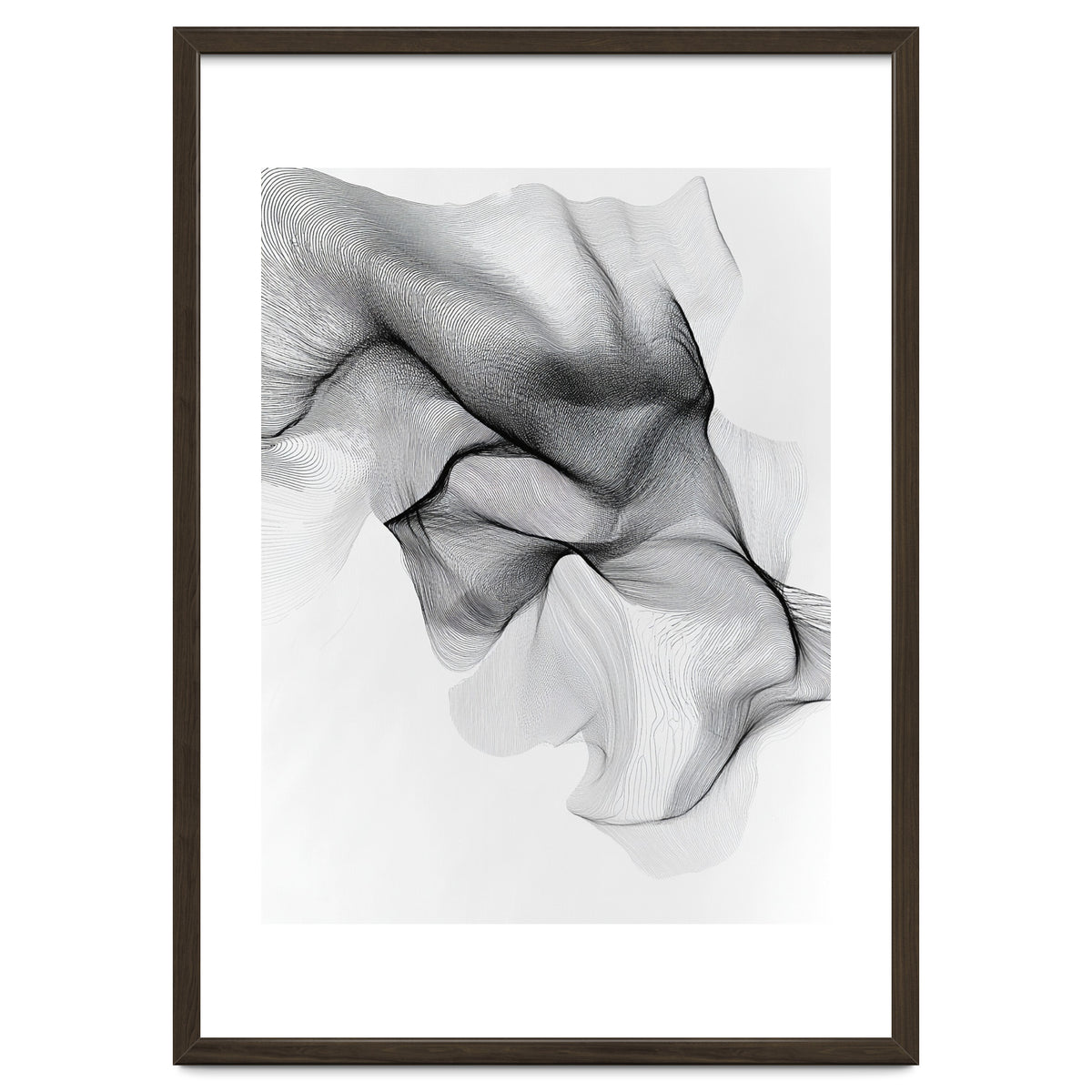 Abstract Black And White Flowing Lines Forming Organic Shapes And Forms