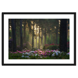 Rhododendron forest thumbnail