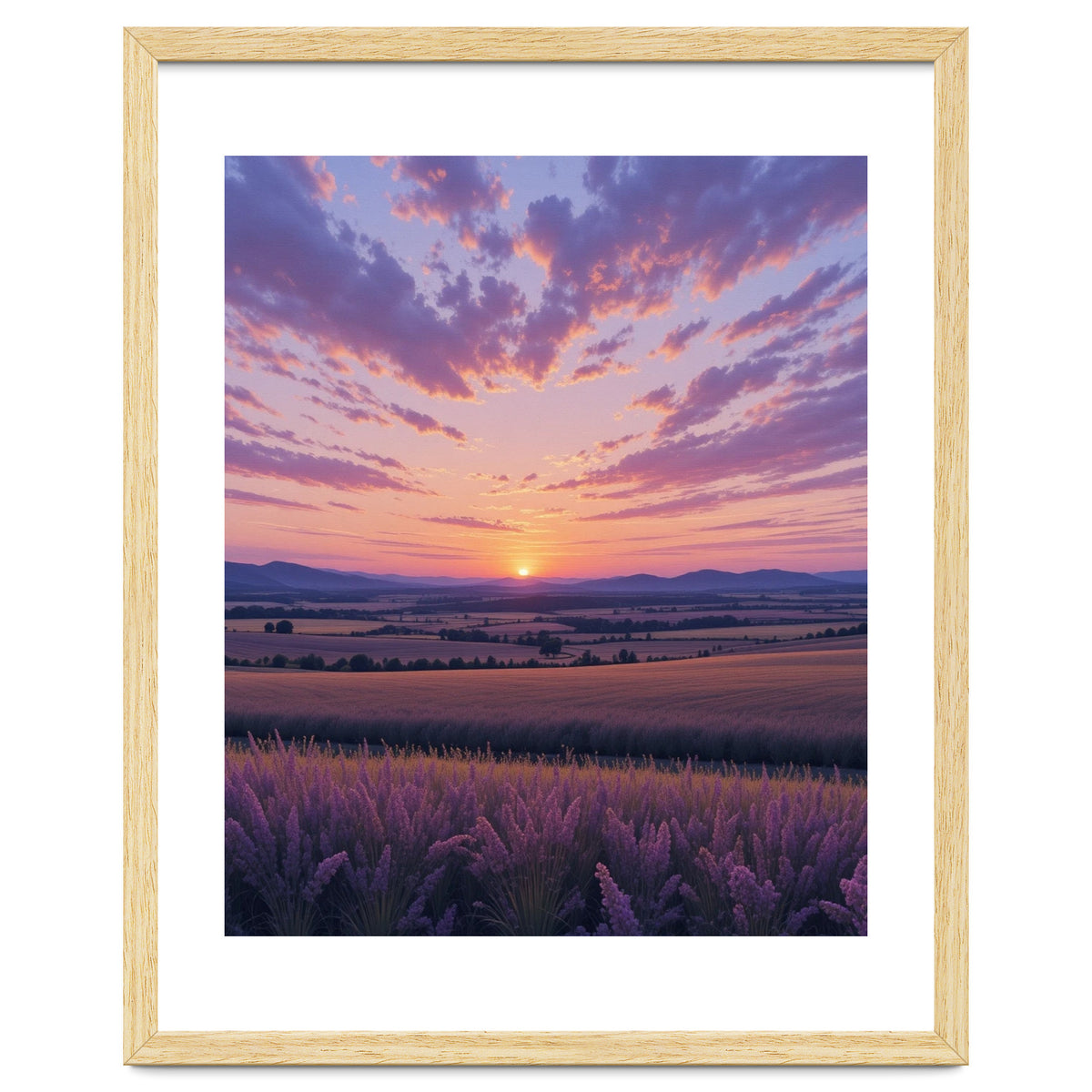 Serene Lavender Fields at Golden Hour Sunset