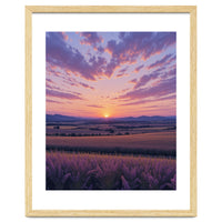 Serene Lavender Fields at Golden Hour Sunset