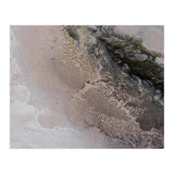Sunkissed (Print Only) thumbnail