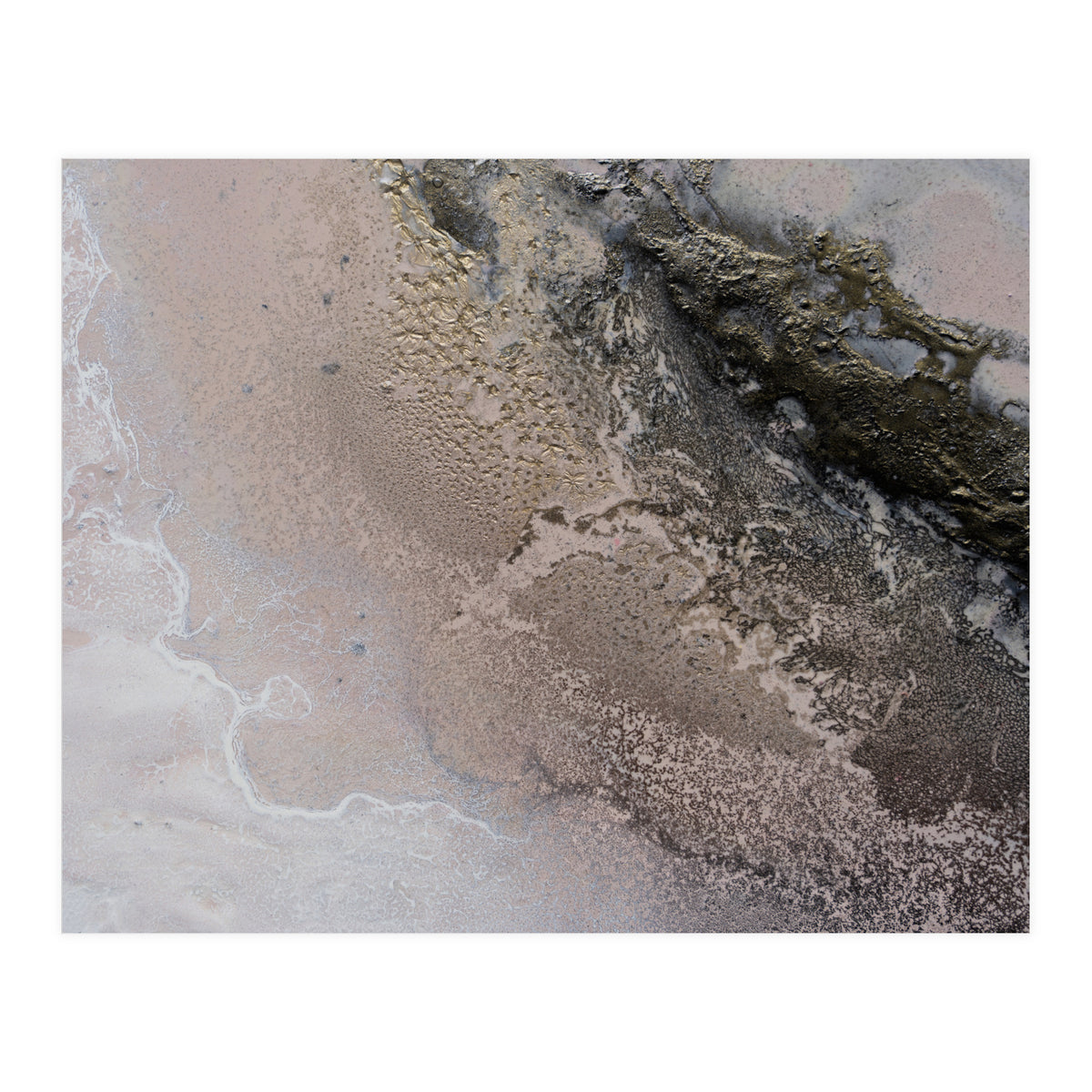 Sunkissed (Print Only)