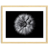 Backyard Flowers In Black And White No 10 Flow Version thumbnail