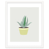 Succulent V1 thumbnail