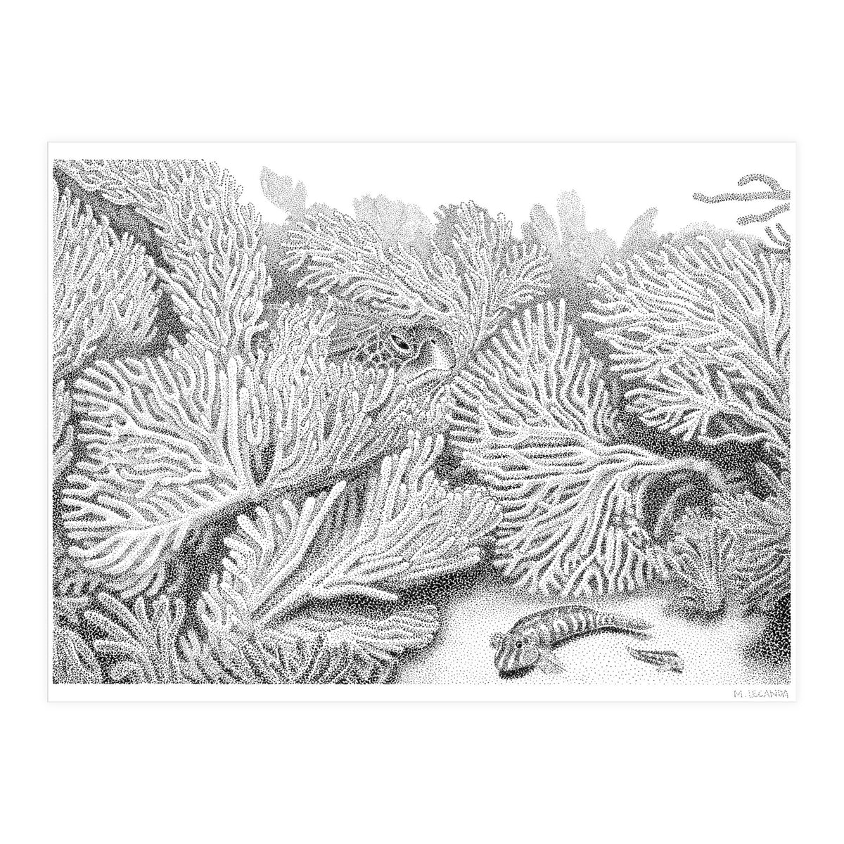 Hidden in plain sight (Print Only)