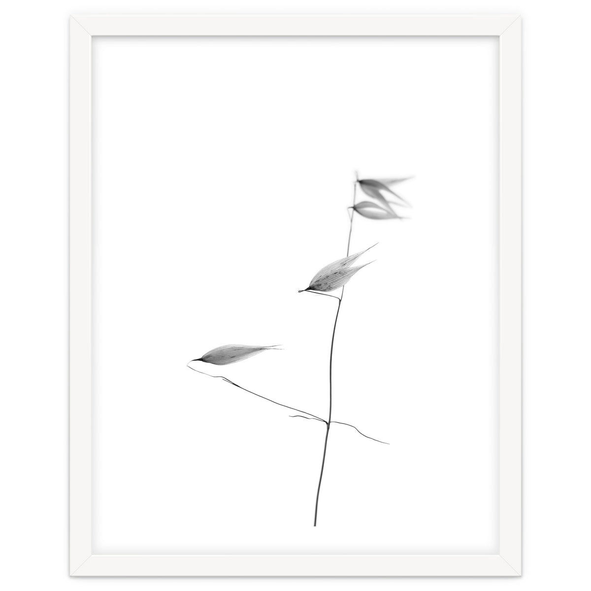 In light of current events IV