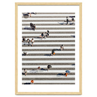 Rain Crossing | Polka Dots Zebra Crossing On The Street | Rain Eclectic Modern Graphic Design