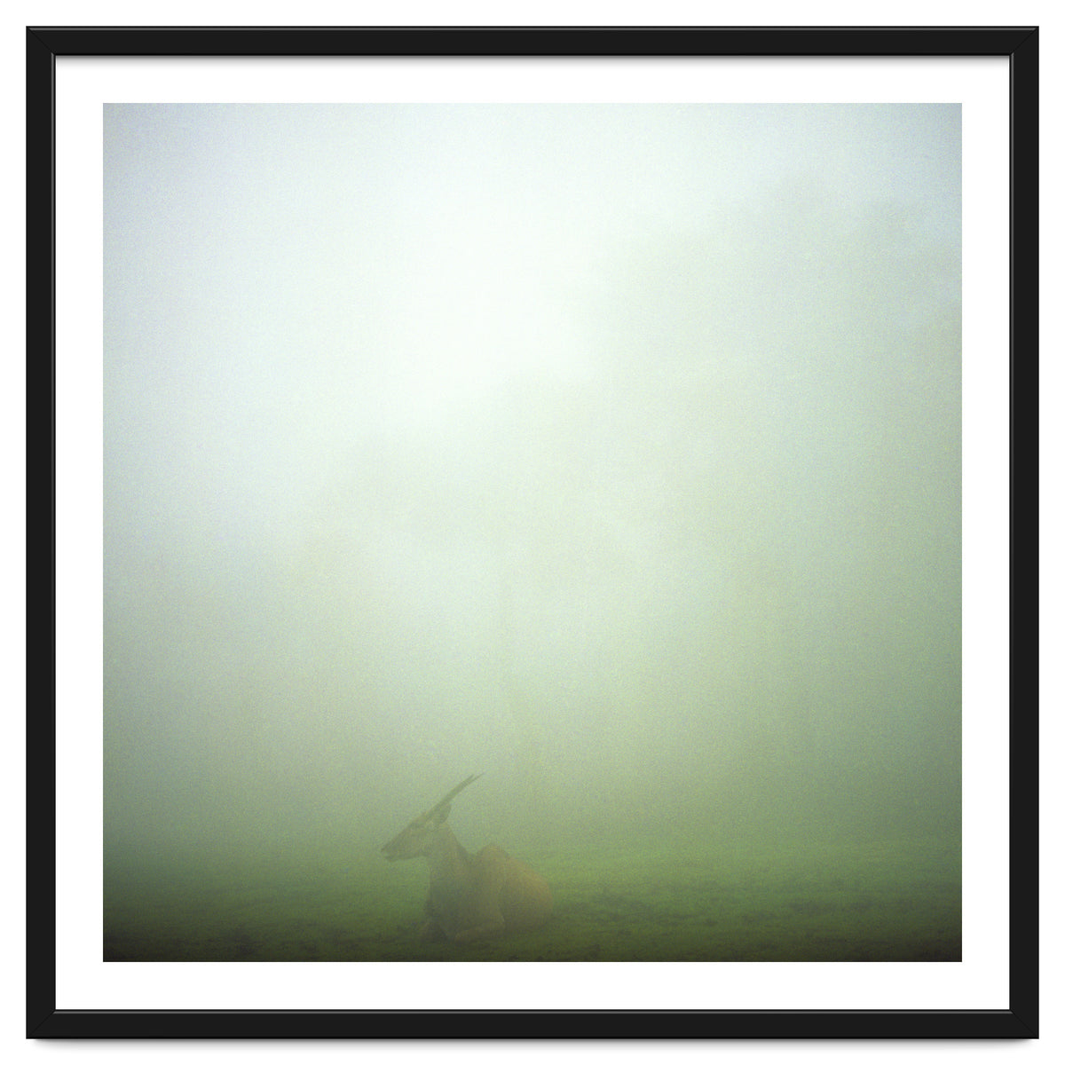 Silence of breath - 06