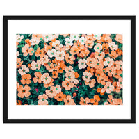 Floral Bliss, Nature Photography Garden Meadow, Blush Orange Coral Summer Flowers Botanical