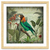Tropical Bird Nostalgia thumbnail