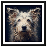 Old Dog 07 thumbnail