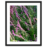 Lavender Flowers thumbnail