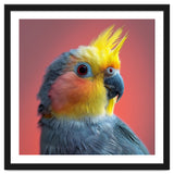 Cockatiel Parrot Head Close Up Portrait thumbnail