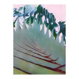 Palm Springs (Print Only) thumbnail