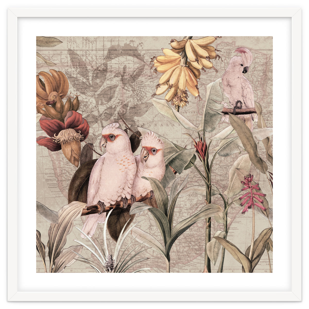 Cockatoo Exotic Bird Jungle