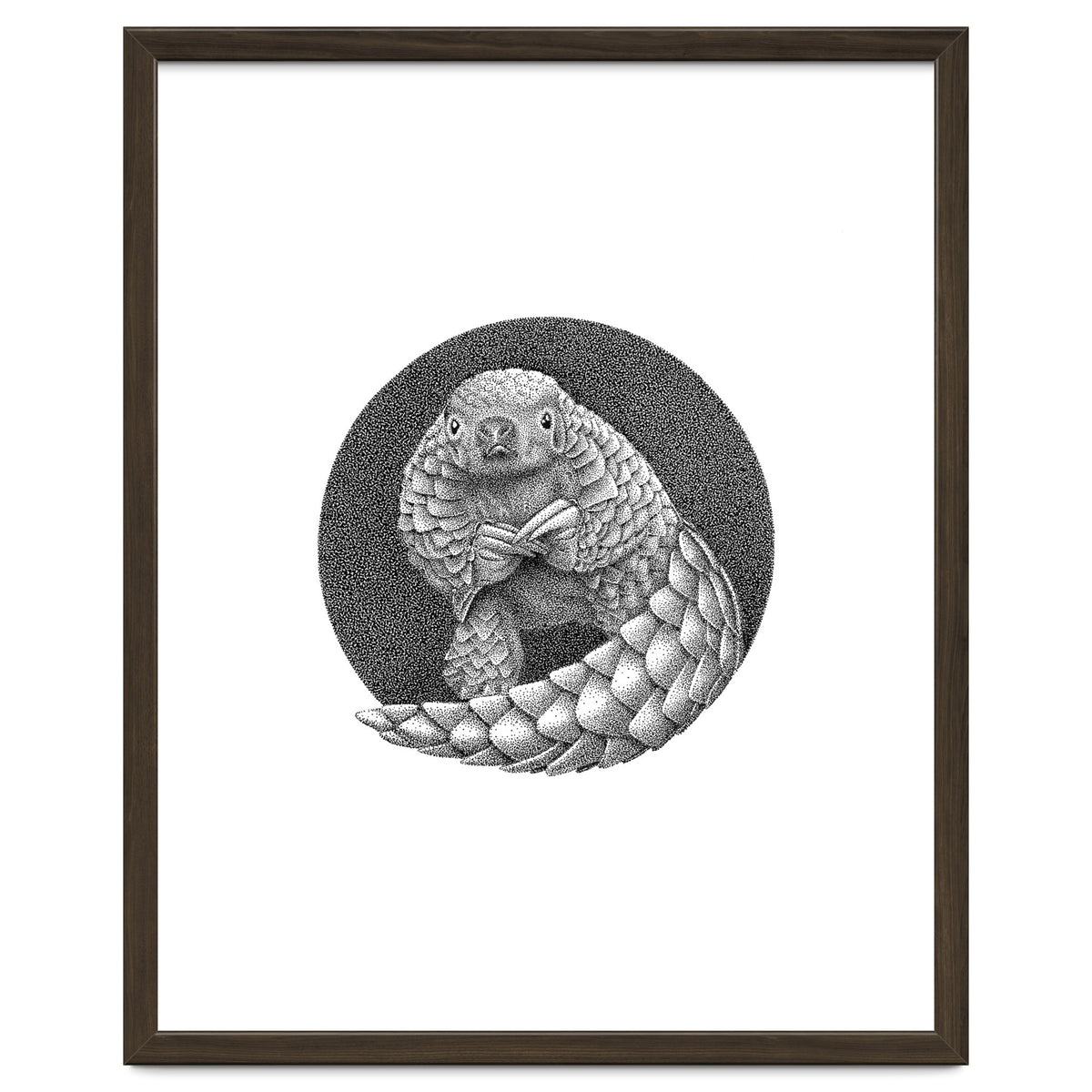 Pangolin no. 1