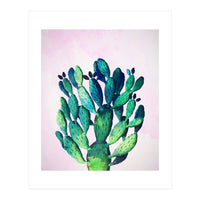Cactus Three Ways (Print Only)