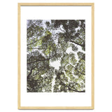 Mother Nature thumbnail