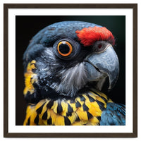 Close-up Portrait of a Vibrant Parrot