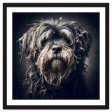 Old Dog 03 thumbnail
