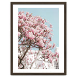 Spring Time thumbnail