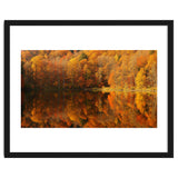 Autumn Reflections thumbnail