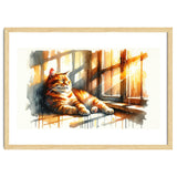 Cat Relaxing In Sunlight thumbnail