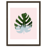 Monstera thumbnail