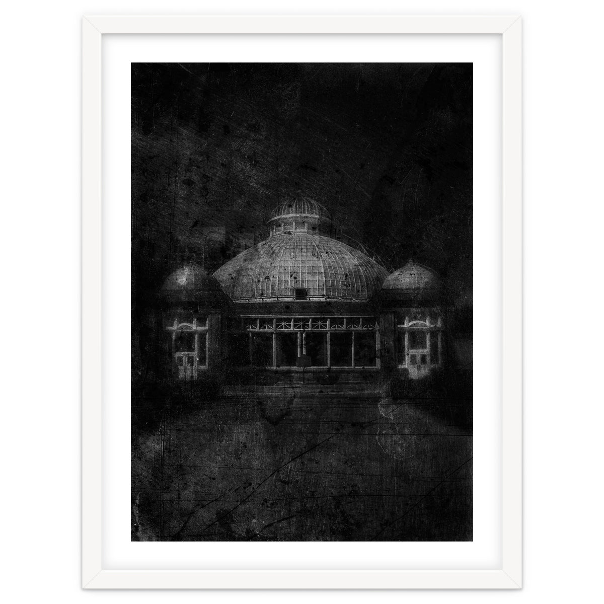 Allan Gardens Conservatory Palm House No 3 Old Film Version