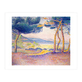 Pines Along the Shore. (Print Only) thumbnail