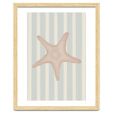 Starfish thumbnail