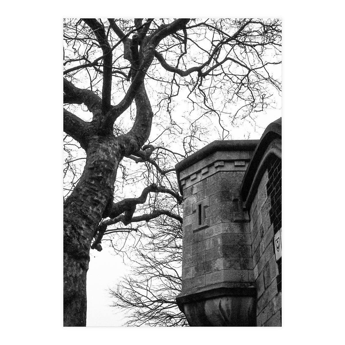 Stark Contrast (Print Only)