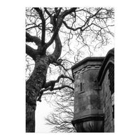 Stark Contrast (Print Only)