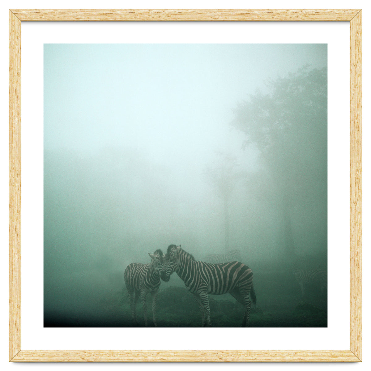 Silence of breath - 11