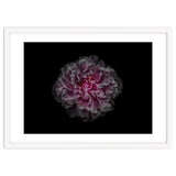Backyard Flowers No 116 Color Version thumbnail