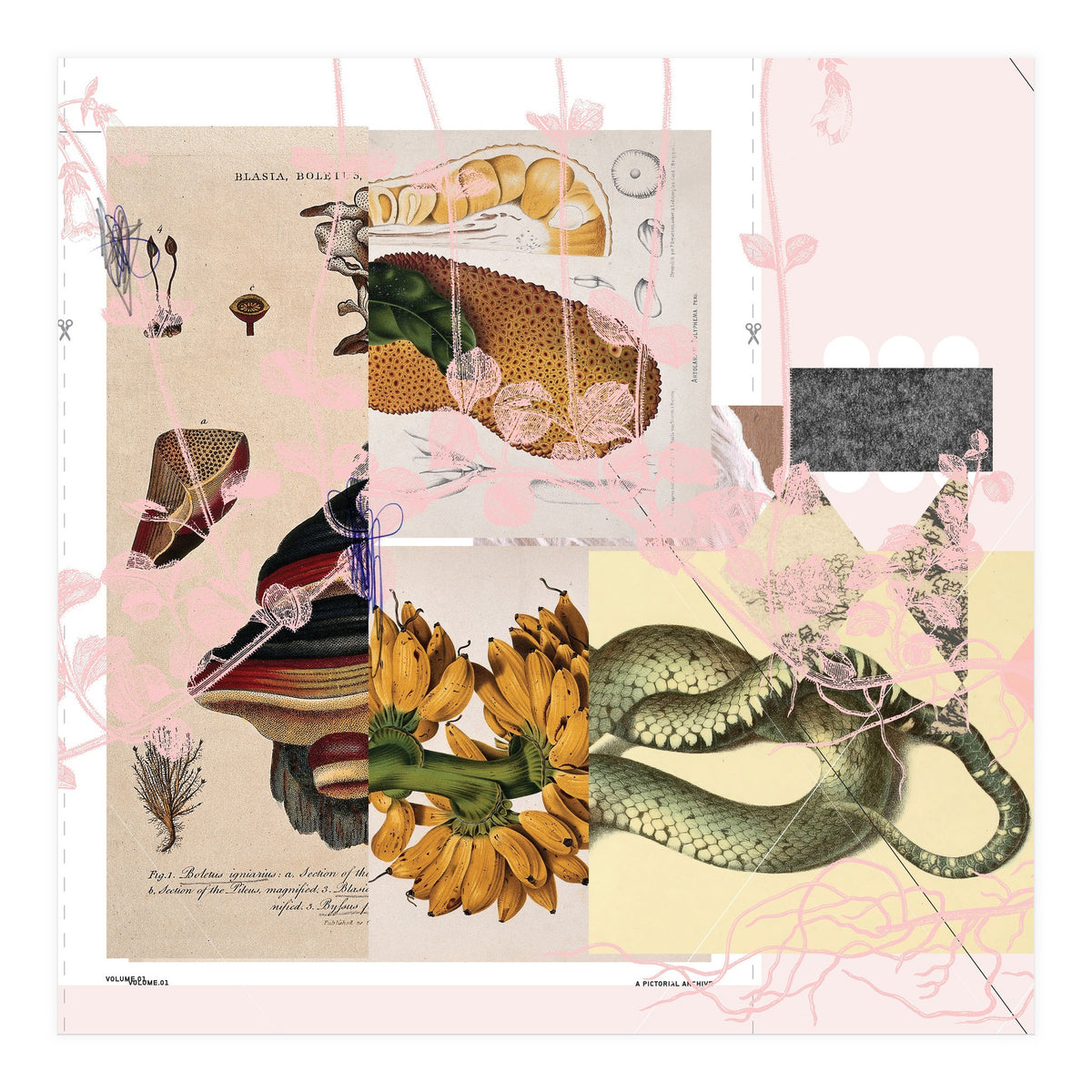 Abstract White Daydream Flower (Print Only)