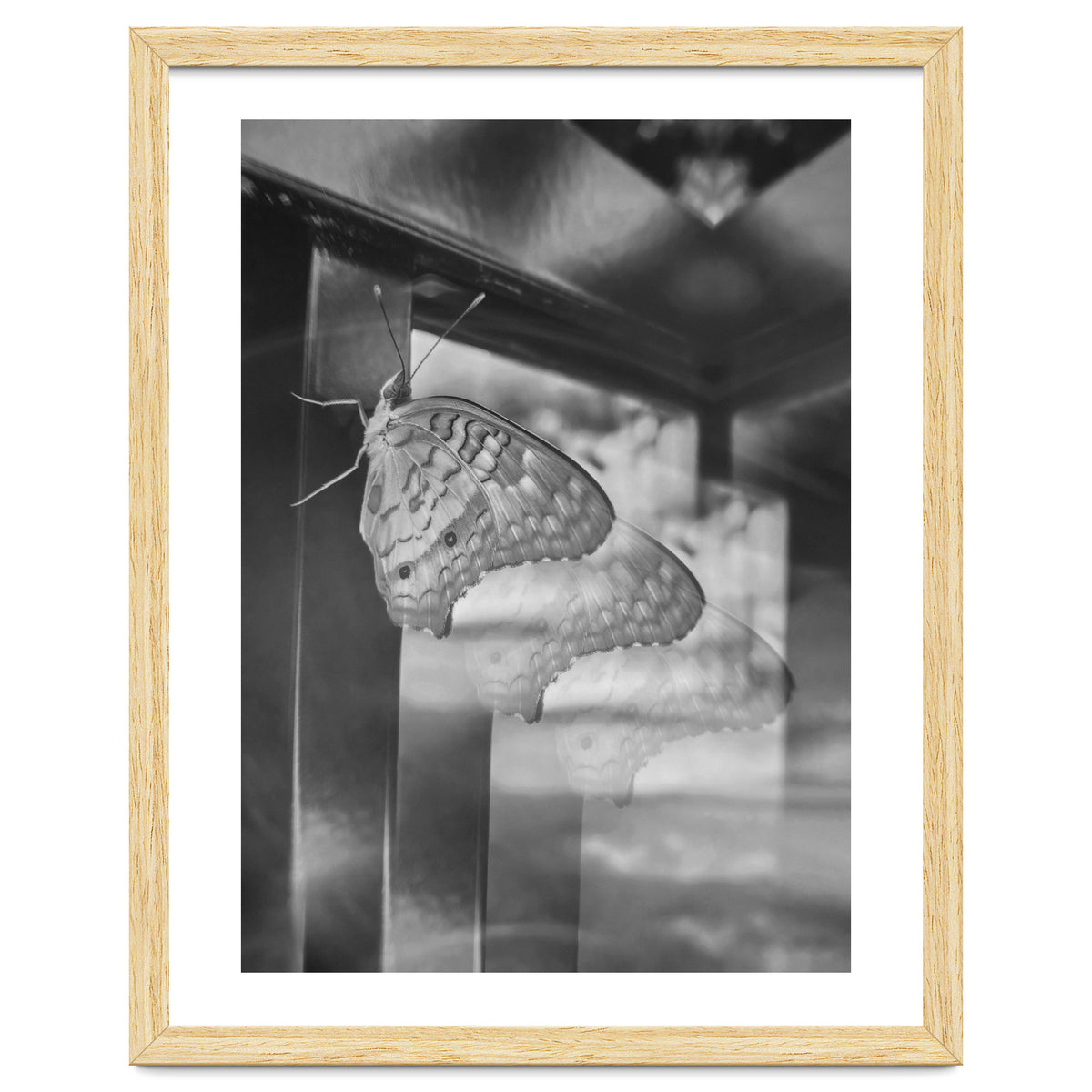 Evolving | Black & White