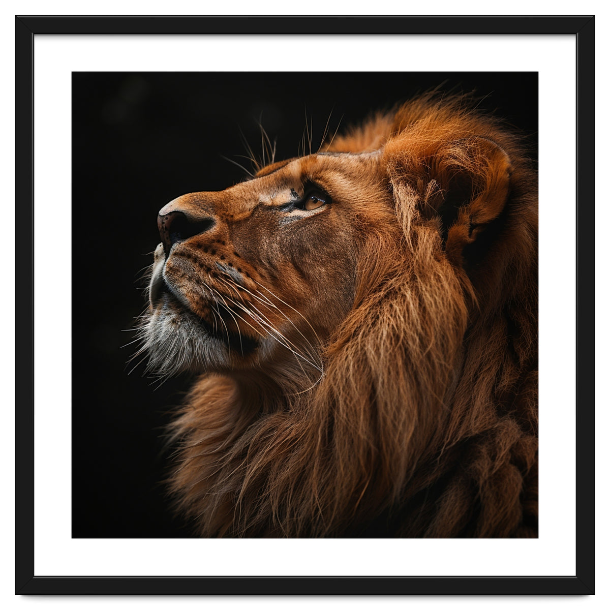 Majestic Lion Portrait Profile Majestic Beast
