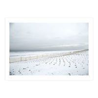 Winter grass in snow beach (Print Only)