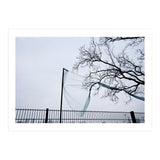 Net caught in a tree (Print Only) thumbnail