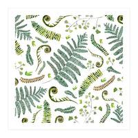Spring Fern Pattern (Print Only)